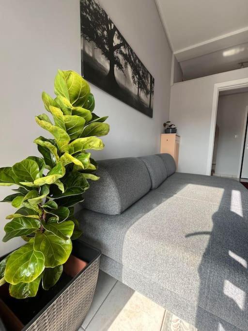 Maria'S Sunlit Apartment Pireusz Kültér fotó